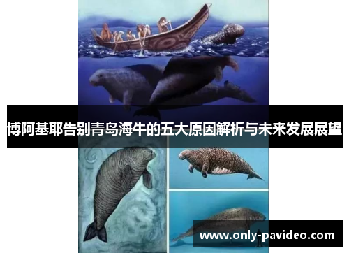 博阿基耶告别青岛海牛的五大原因解析与未来发展展望