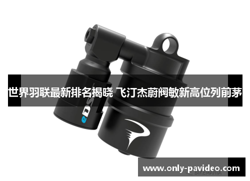 世界羽联最新排名揭晓 飞汀杰蔚阀敏新高位列前茅 世界羽联最新排名揭晓 飞汀杰蔚阀敏新高位列前茅