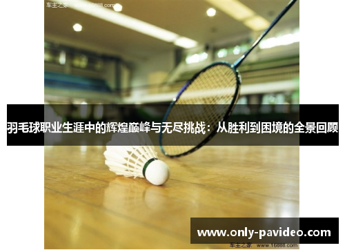 羽毛球职业生涯中的辉煌巅峰与无尽挑战:从胜利到困境的全景回顾 羽毛球职业生涯中的辉煌巅峰与无尽挑战:从胜利到困境的全景回顾