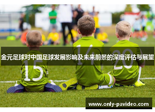 金元足球对中国足球发展影响及未来前景的深度评估与展望 金元足球对中国足球发展影响及未来前景的深度评估与展望