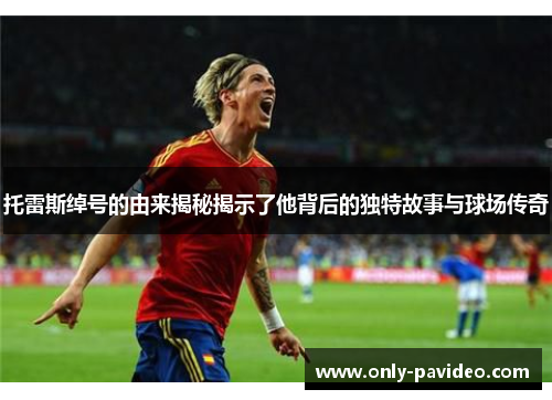 托雷斯绰号的由来揭秘揭示了他背后的独特故事与球场传奇 托雷斯绰号的由来揭秘揭示了他背后的独特故事与球场传奇