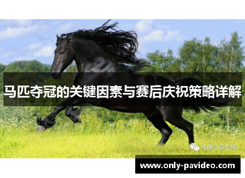 马匹夺冠的关键因素与赛后庆祝策略详解