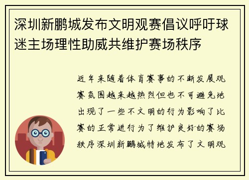 深圳新鹏城发布文明观赛倡议呼吁球迷主场理性助威共维护赛场秩序